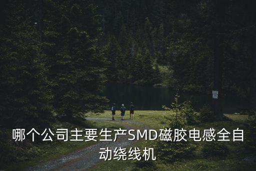 哪個(gè)公司主要生產(chǎn)SMD磁膠電感全自動(dòng)繞線機(jī)