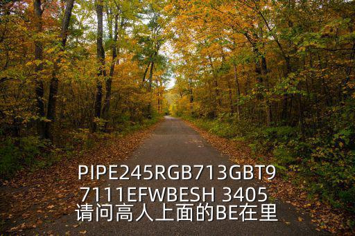深圳市萬德龍電子商務有限公司，PIPE245RGB713GBT97111EFWBESH 3405 請問高人上面的BE在里