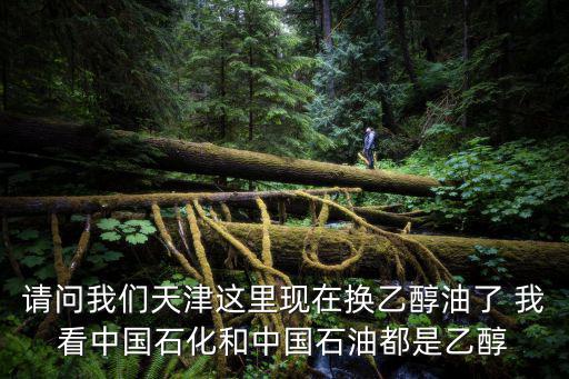 請問我們天津這里現在換乙醇油了 我看中國石化和中國石油都是乙醇