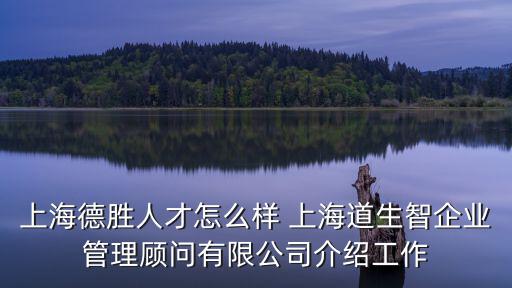 上海德勝人才怎么樣 上海道生智企業(yè)管理顧問有限公司介紹工作