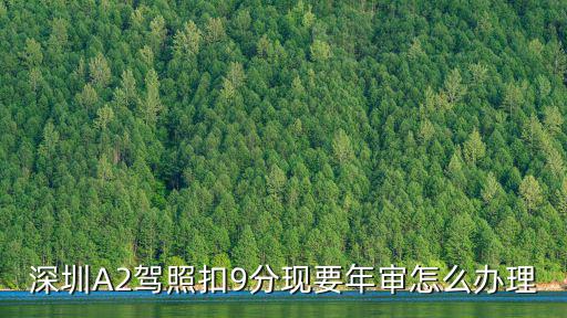 深圳A2駕照扣9分現要年審怎么辦理