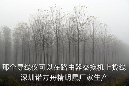 那個(gè)尋線儀可以在路由器交換機(jī)上找線深圳諾方舟精明鼠廠家生產(chǎn)