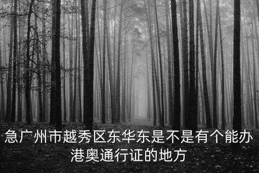 急廣州市越秀區(qū)東華東是不是有個能辦港奧通行證的地方
