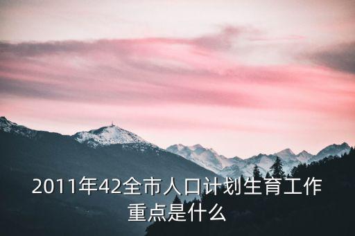 2011年42全市人口計劃生育工作重點是什么