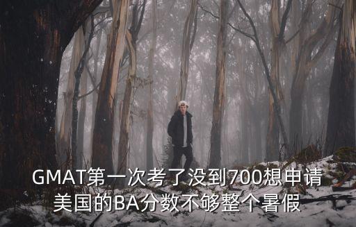 GMAT第一次考了沒到700想申請美國的BA分數不夠整個暑假