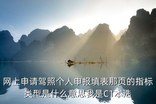 網上申請駕照個人申報填表那頁的指標類型是什么意思我是C1本選