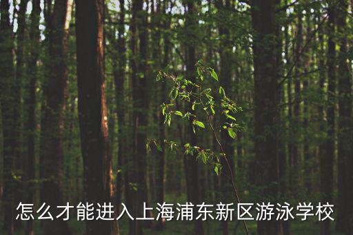 上海市浦東新區游泳學校怎么樣，怎么才能進入上海浦東新區游泳學校