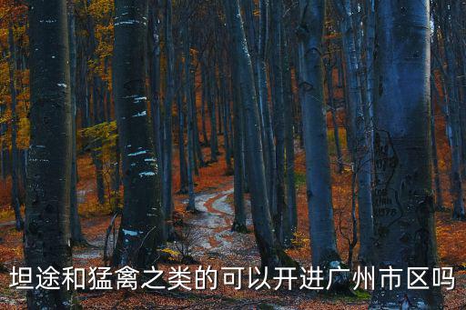 廣州 猛禽 限行規定，坦途和猛禽之類的可以開進廣州市區嗎