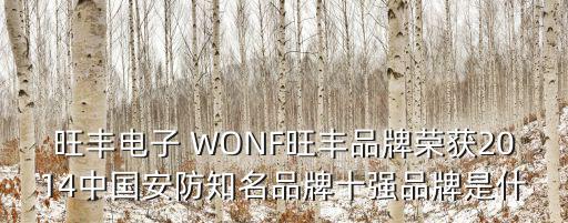 旺豐電子 WONF旺豐品牌榮獲2014中國安防知名品牌十強(qiáng)品牌是什