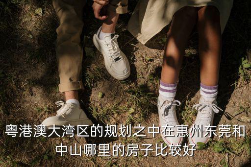 粵港澳大灣區的規劃之中在惠州東莞和中山哪里的房子比較好