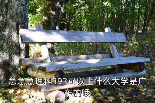 急急急理科393可以上什么大學是廣東的哦