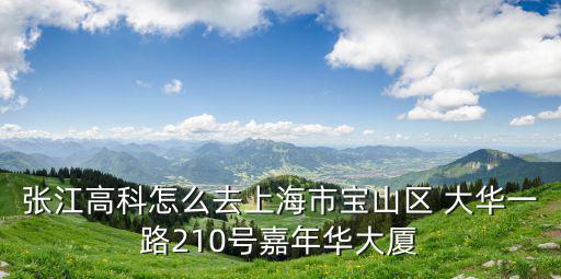 張江高科怎么去上海市寶山區 大華一路210號嘉年華大廈