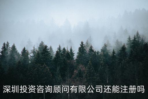 華泰金控投資咨詢深圳有限公司，華泰電子科技集團 深圳