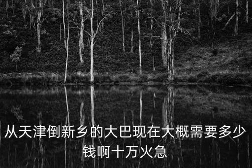 從天津倒新鄉的大巴現在大概需要多少錢啊十萬火急