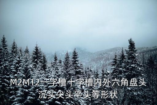 M2M12一字槽十字槽內外六角盤頭沉頭尖頭平頭等形狀