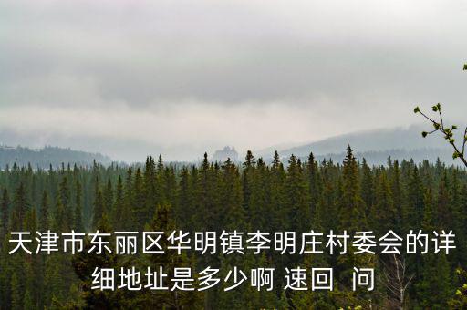 天津市東麗區華明鎮李明莊村委會的詳細地址是多少啊 速回  問