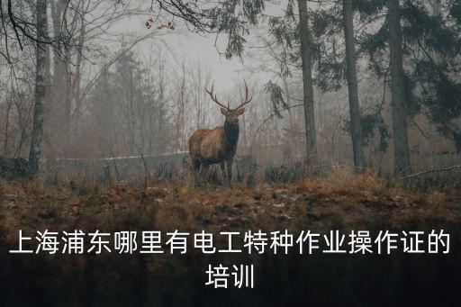 上海浦東哪里有電工特種作業操作證的培訓
