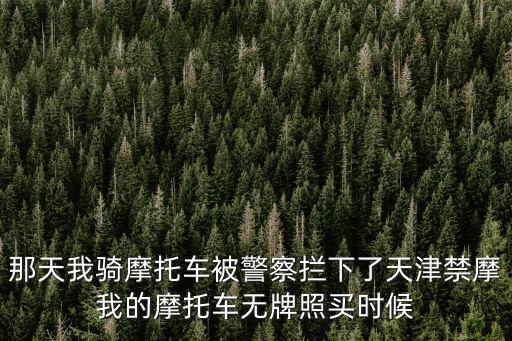 那天我騎摩托車被警察攔下了天津禁摩我的摩托車無牌照買時候