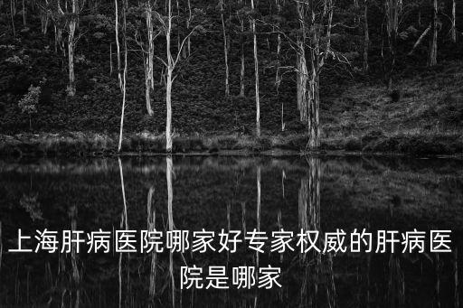 上海市中醫(yī)院肝病科醫(yī)生，口碑最好的上海肝病醫(yī)院是哪家