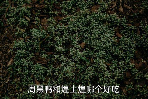 周黑鴨和煌上煌哪個(gè)好吃
