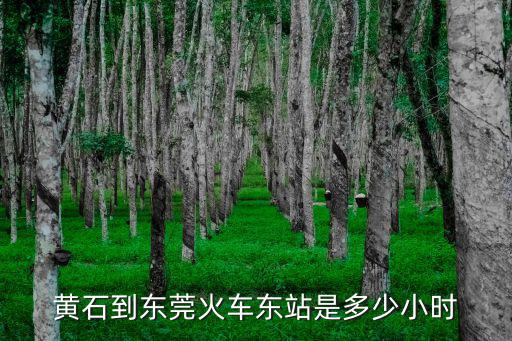黃石到東莞火車東站是多少小時