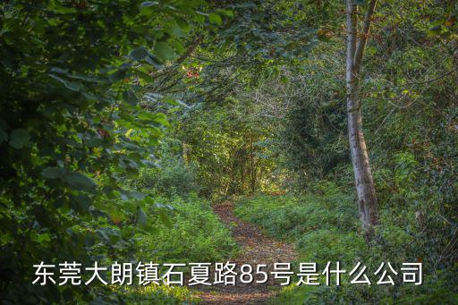 東莞大朗鎮(zhèn)石夏路85號(hào)是什么公司