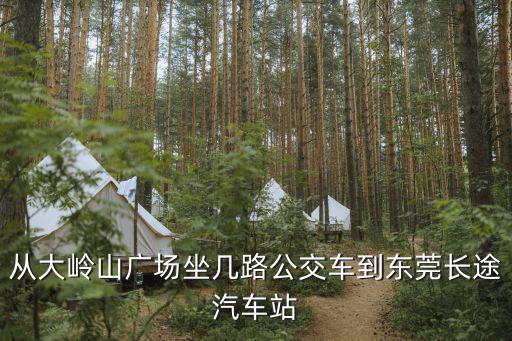 從大嶺山廣場坐幾路公交車到東莞長途汽車站