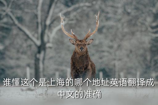 誰懂這個是上海的哪個地址英語翻譯成中文的準確