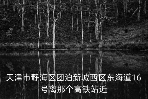 天津市靜海區(qū)團泊新城西區(qū)東海道16號離那個高鐵站近