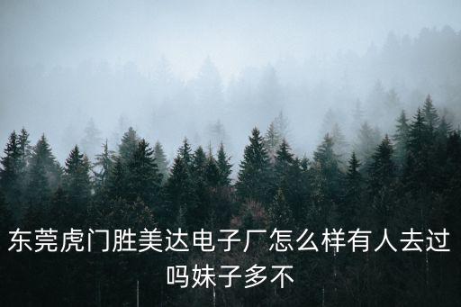 東莞勝美達電子廠怎樣，虎門勝美達工資怎么zx沒到怎么辦