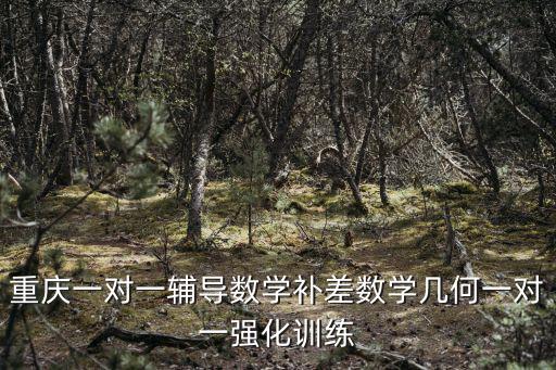 重慶一對一輔導數學補差數學幾何一對一強化訓練