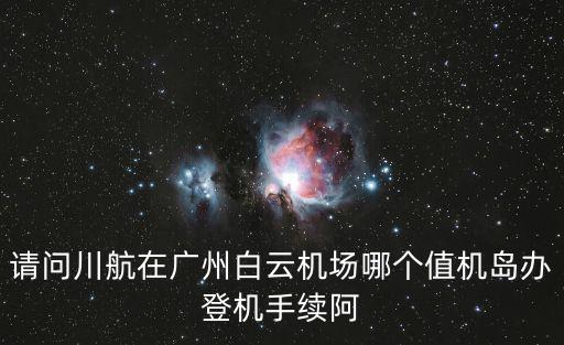 請問川航在廣州白云機(jī)場哪個值機(jī)島辦登機(jī)手續(xù)阿