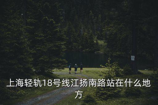 上海輕軌18號線江揚(yáng)南路站在什么地方