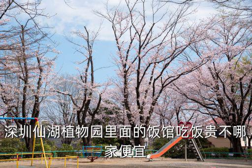 深圳偷雞餐廳，深圳那家公司食堂承包服務質量比較好的