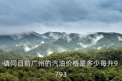 請(qǐng)問(wèn)目前廣州的汽油價(jià)格是多少每升9793