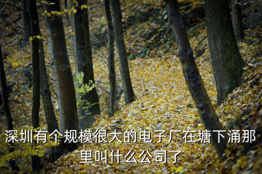 深圳旭耀電子有限公司，深圳有個規模很大的電子廠在塘下涌那里叫什么公司了