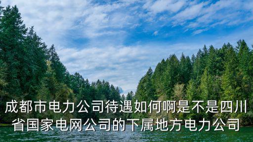 成都市電力公司待遇如何啊是不是四川省國家電網公司的下屬地方電力公司