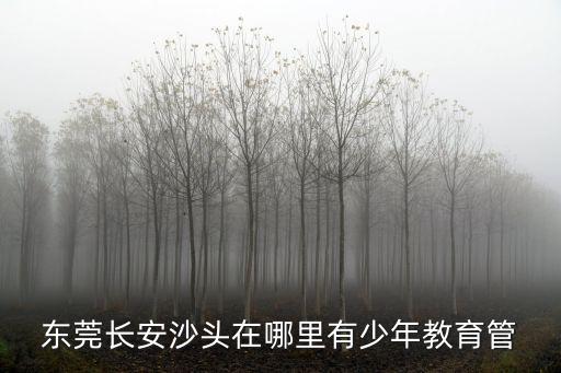 東莞青少年糾正學校在哪，東莞長安沙頭在哪里有少年教育管