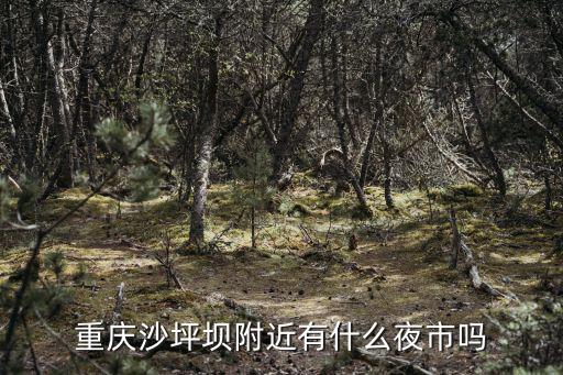 重慶沙坪壩附近有什么夜市嗎