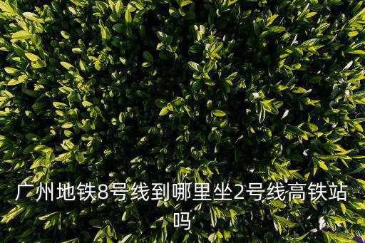 廣州地鐵8號線到哪里坐2號線高鐵站嗎