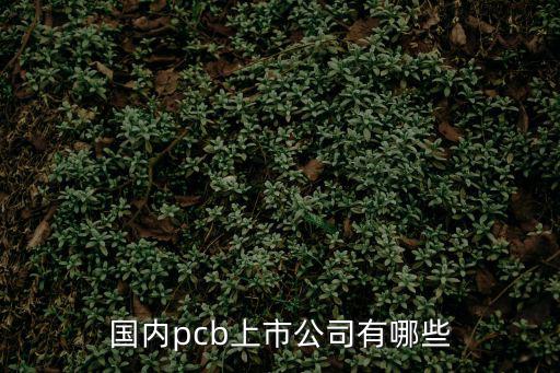 國(guó)內(nèi)pcb上市公司有哪些