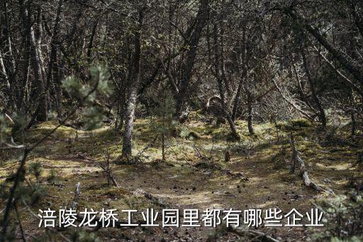 涪陵龍橋工業園里都有哪些企業