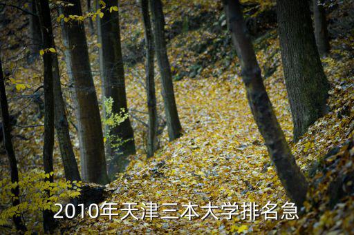 2010年天津三本大學排名急
