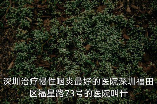 深圳興創(chuàng)嘉，深圳一個叫孫大兵 孫生這個人 他是賣手機(jī)的 他是個大騙子 專用山寨機(jī)