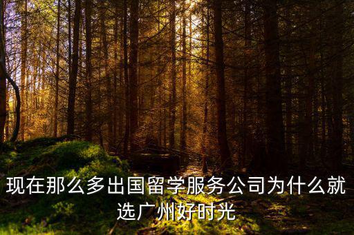現(xiàn)在那么多出國留學(xué)服務(wù)公司為什么就選廣州好時光