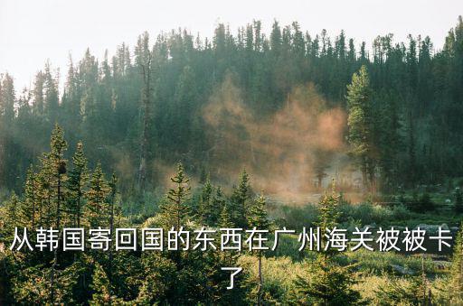 從韓國(guó)寄回國(guó)的東西在廣州海關(guān)被被卡了