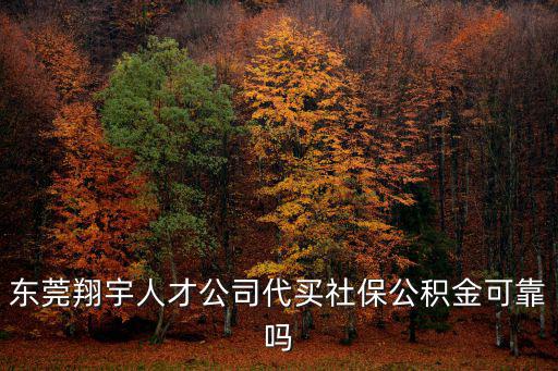 東莞翔宇人才公司代買(mǎi)社保公積金可靠嗎