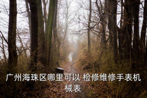 廣州海珠區哪里可以 檢修維修手表機械表