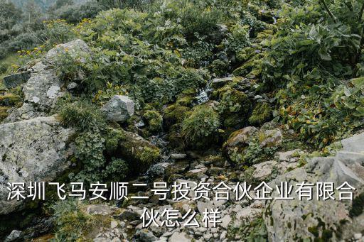 深圳飛馬安順二號投資合伙企業有限合伙怎么樣