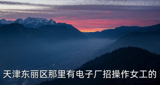 天津東麗區那里有電子廠招操作女工的